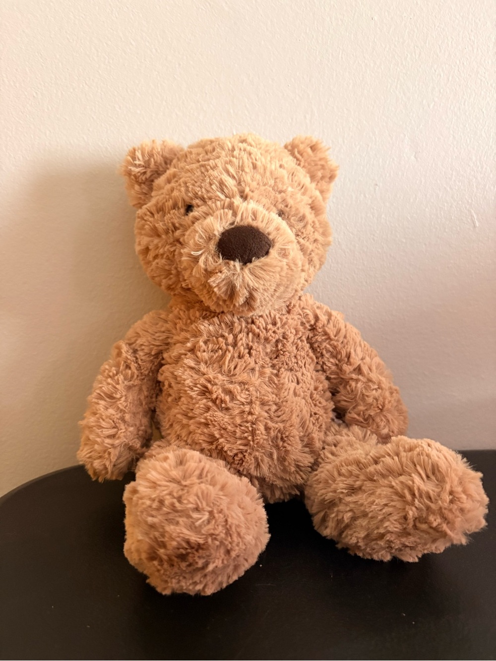 Plush Brown Teddy Bear Stuffed Animal - Soft Cuddly Toy
